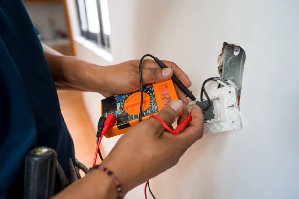 Best Electric Panel Repair  in Maple Park, IL