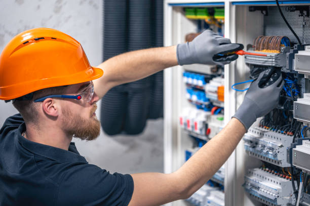 Best Electric Panel Repair  in Maple Park, IL